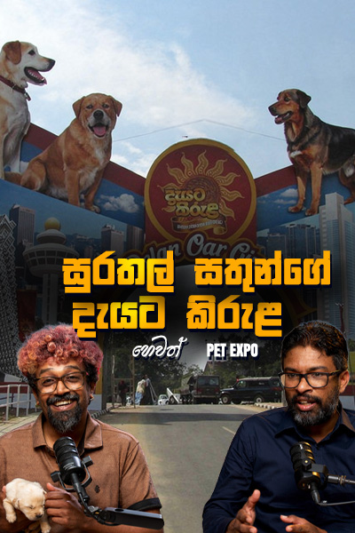 සුරතල් සතුන්ගේ දැයට කිරුළ හෙවත් PET EXPO