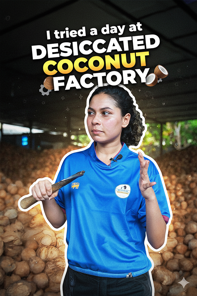 I tried a day shift in DC factory